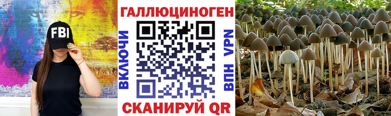 Галлюциногенные грибы Magic Shrooms  Купить  Ялуторовск 